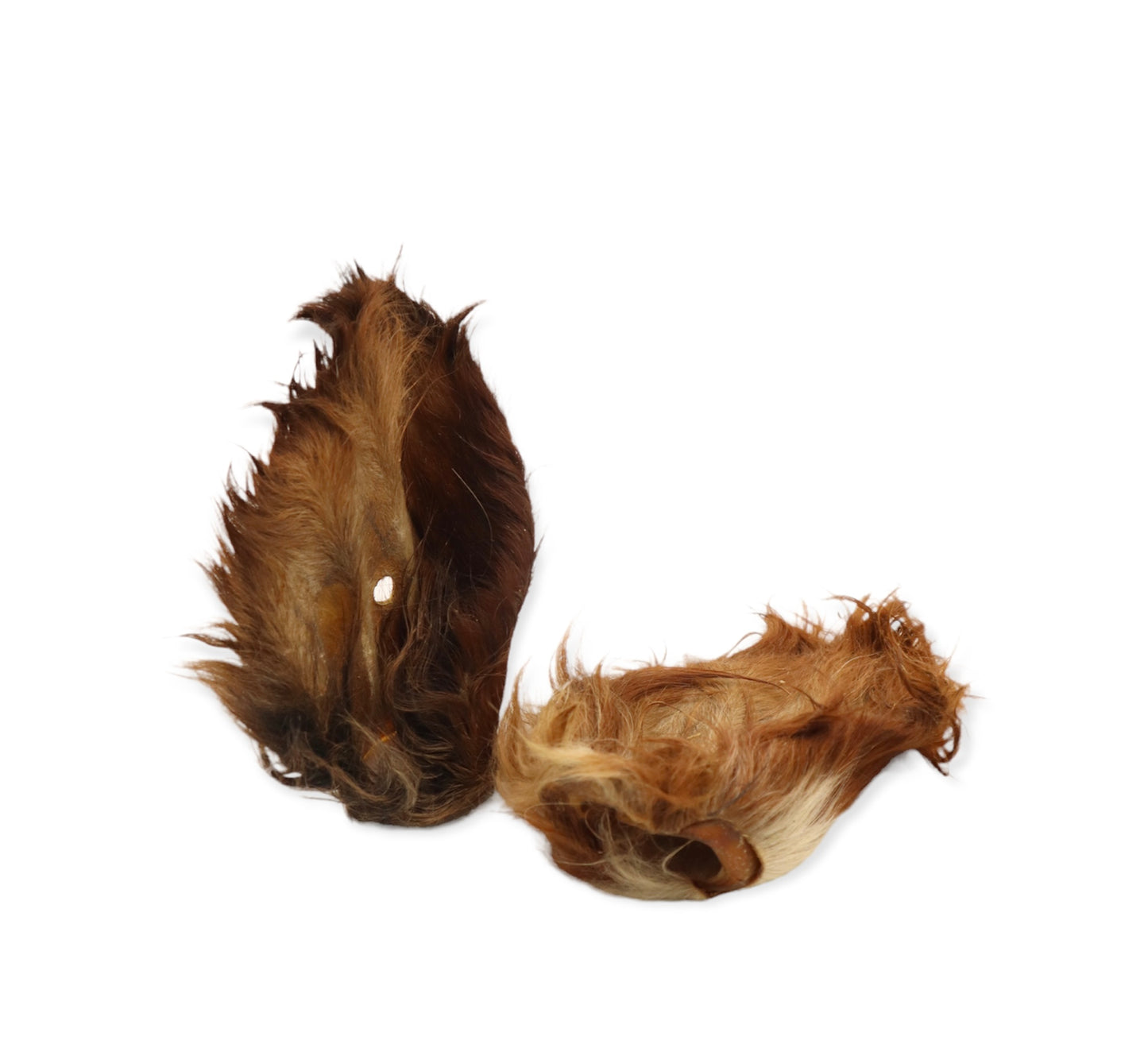 Cow ears with fur (5 pack)